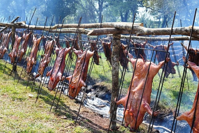 En la jornada de hoy realizarán la elección de la reina, y mañana la exclusividad la tendrán el productor y los porcinos. Desde las 16 arrancarán los fuegos, en una preparación que dura 5 horas, luego pasará el jurado para observar los productos terminados, y allí determinarán al ganador del certamen.