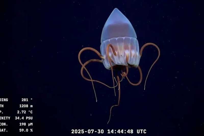 streaming-conicet-ciencia-naturaleza-argentina