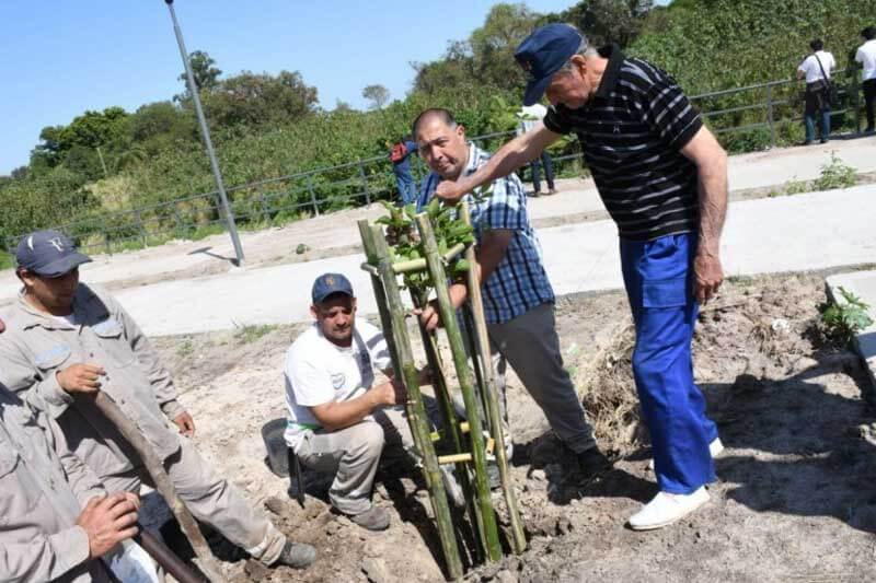 Las sugerencias pueden aportarse completando un simple y rápido formulario en el siguiente link: bit.ly/PorMasArboles, donde podrán elegir entre distintas opciones sobre la plantación de árboles. Las alternativas serán lugares que fueron identificados y se determinó que realmente hace falta, tales como las avenidas 3 de Abril, Chacabuco, y Alfonsín, y los barrios Ciudades Correntinas y Pirayuí. 