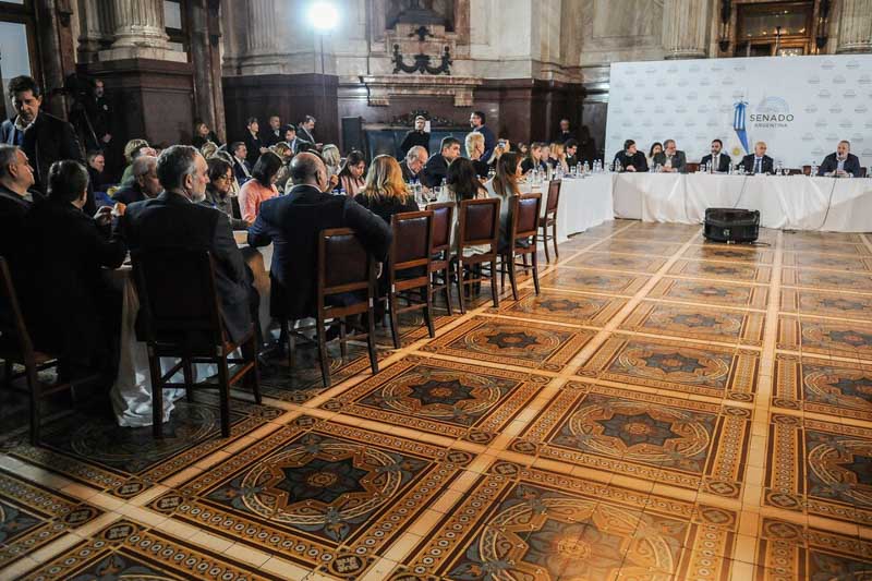 Senado-Ley bases-senadores-politica-debate