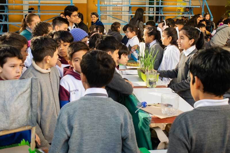 medioa mbiente-educacion ambiental-educación