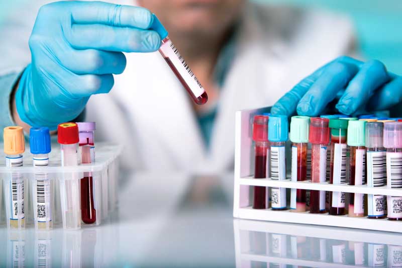 labolatorios-anmat-senasa-medicamentos-importación-información-argentina