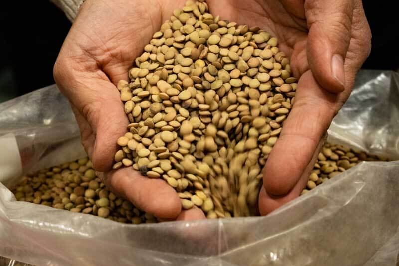 burocracia-derogaciones-leyes-granos-exportación