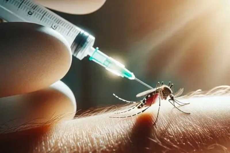 El ítem más preocupante es el brote de dengue, que tiene una cifra récord de 106 muertos y 151.310 casos reportados en la temporada 2023/2024. Actualmente, 19 de las 24 jurisdicciones del país registran circulación viral autóctona, y con el mayor número de contagios registrado en la región Centro, seguido por el NEA. 