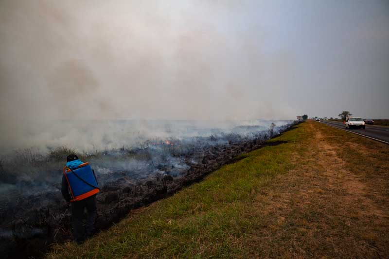El portavoz del área expresó que el fuego alcanza varios terrenos de estancias y forestaciones. 