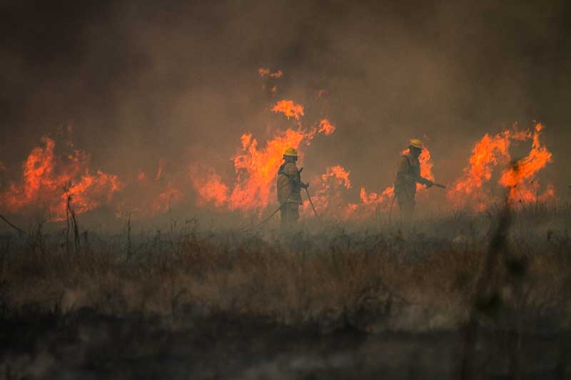 incnedios forestales-consecuencias-ciclo del agua-medio ambiente