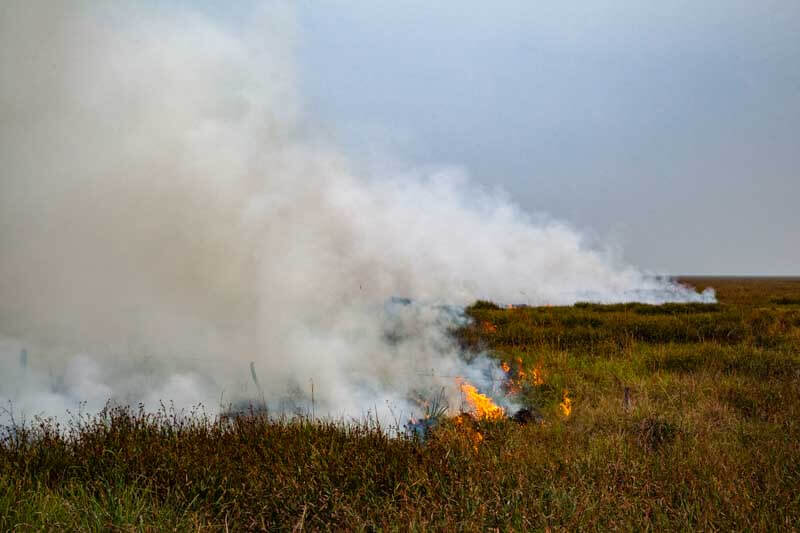 Pese a la vigencia de la prohibición de quemas de pastizales y basura, la falta de conciencia ciudadana agrava la situación, según las autoridades. El Comando de Operaciones de Emergencias (COE) remarcó que estos incendios son potenciados por la negligencia, sumada a las condiciones climáticas adversas. Mientras tanto, los bomberos luchan contra un escenario que amenaza tanto al medioambiente como a la seguridad de las comunidades afectadas.