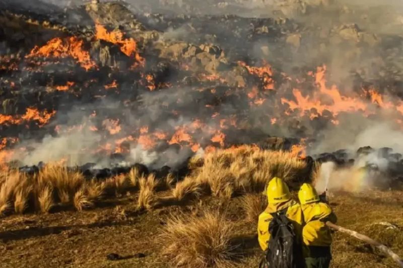 Desarrollaron un despliegue coordinado -por otro lado- para neutralizar incendios en siete localidades del territorio correntino. Los focos ígneos correspondieron principalmente a pastizales y campos, con intervenciones en San Cayetano, Empedrado, la capital, San Miguel, Garabí, Villa Olivari y Desiderio Sosa. Tras sofocar los siniestros se mantuvieron tareas de guardia de cenizas y monitoreo en algunos sectores para prevenir reactivaciones. 