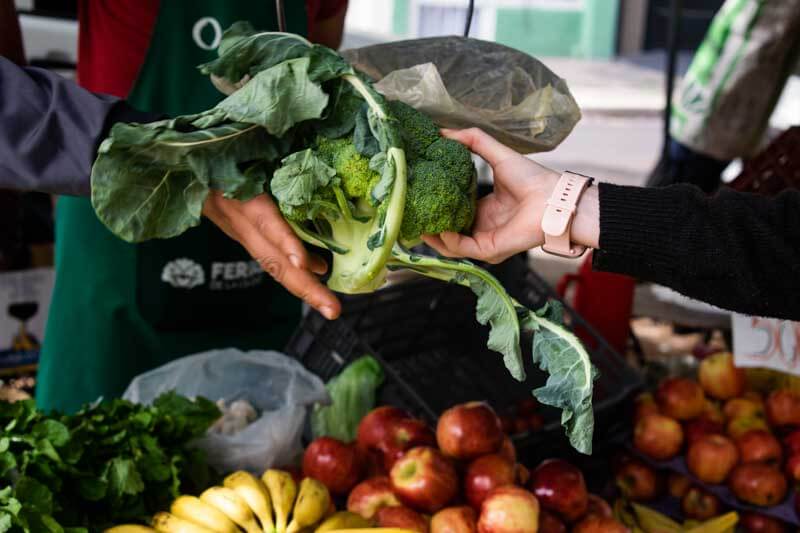 Ferias de verduras-Verduras-Hortalizas-Compras de verduras-Huevos-Acelgas-Tomate-Papa-Lechuga-Zanahoria-Cebolla-Brocoli-Banana-Pimentón