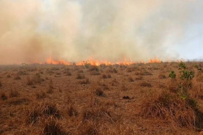 La comunidad de San Luis del Palmar -por otro lado- todavía se encuentra en alerta tras los incendios que se registraron en esa localidad, luego de que el último afectara a casi 9.000 hectáreas de un predio en la ruta Nº 5. Mientras tanto están tratando de determinar el alcance exacto de los daños materiales y las autoridades mantienen un monitoreo de la situación durante las 24 horas.