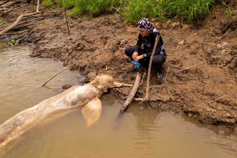 El análisis también señaló que los récords de precipitación máxima y mínima son cada vez más frecuentes. En 2024, los registros mensuales y diarios superaron los máximos históricos con un aumento significativo en su recurrencia. Esta intensificación de los extremos climáticos pone en evidencia los estragos del calentamiento global en los ecosistemas y economías del mundo, exigiendo una acción inmediata para mitigar los efectos y adaptarse a los nuevos desafíos. -Nota Agencia EFE-. 