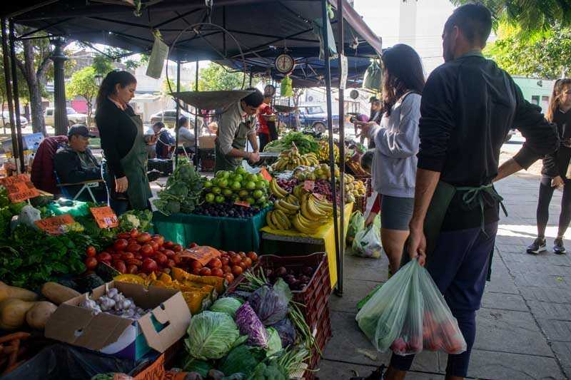 Ferias de verduras-Verduras-Hortalizas-Compras de verduras-Huevos-Acelgas-Tomate-Papa-Lechuga-Zanahoria-Cebolla-Brocoli-Banana-Pimentón