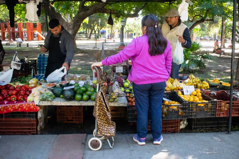 En la región Noreste, en tanto, la mayor incidencia la tuvo la vivienda, el agua, la electricidad y otros combustibles (6%), por los incrementos percibidos en los mismos, y luego les siguen las frutas y verduras, los tubérculos y las legumbres. Las dos divisiones que registraron las menores variaciones son las prendas de vestir y el calzado (1,6%), y el transporte (2,6%).