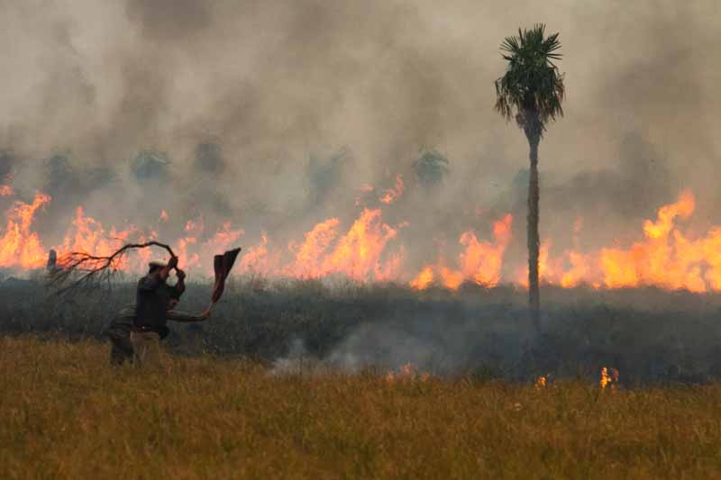Desde finales de diciembre hay un incendio en la entrada del portal Carambola en el parque Iberá. La situación se complica aún más con la sequía y los fuertes vientos.