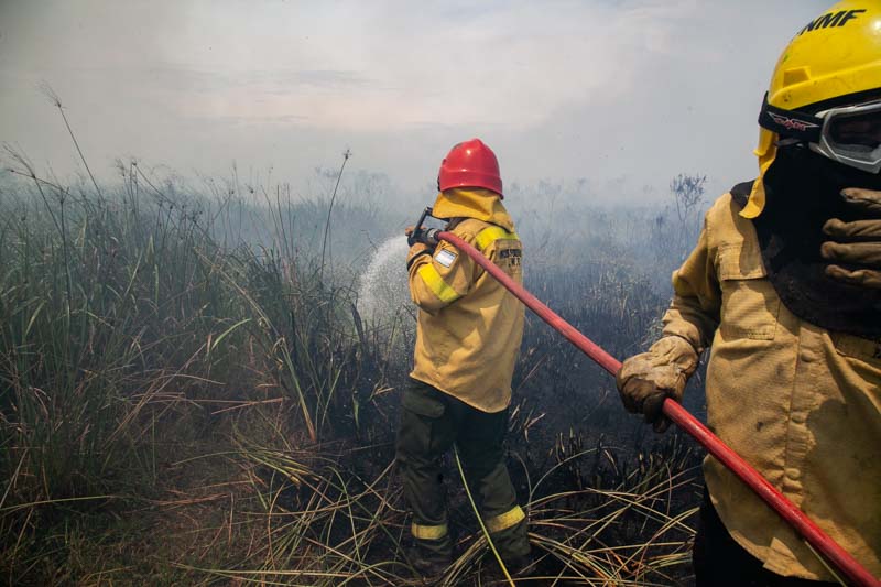 incendios-corrientes-quemas-sequia-temperaturas extremas