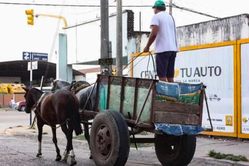 El último intento, por parte del Municipio capitalino, resultó infructuoso, por lo cual esta gestión comunal estableció, a través de la resolución 3829 del 15 de agosto último, la creación de un plan de reconversión económico-productivo, que tiene como objetivo acompañar el desarrollo de los emprendimientos familiares que actualmente utilizan caballos para transitar por la ciudad.