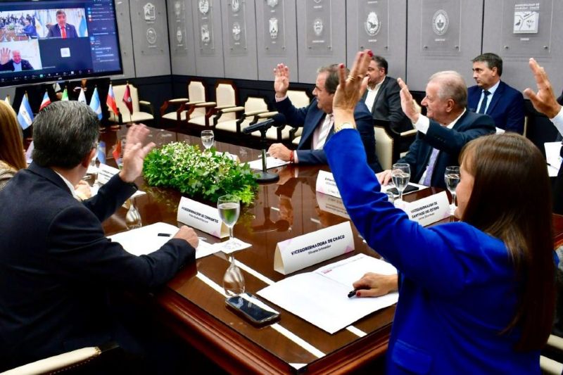 Estuvieron presentes los vicegobernadores Silvana Schneider (anfitriona, Chaco), Carlos Silva Neder (Santiago del Estero), Pedro Braillard Poccard (Corrientes), Antonio Oscar Marocco (Salta), Alberto Bernis (Jujuy), y por Zoom se conectaron Miguel Ángel Acevedo (Tucumán), Rubén Dusso (Catamarca) y Teresita Madera (La Rioja). En esa línea, también participaron la vicepresidenta primera de la Cámara de Representantes de Misiones, Norma Sawicz, y el secretario parlamentario del organismo, Luis Herrera.