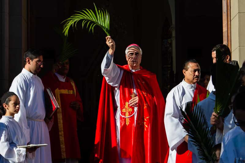  domingo de ramos -   ramos   -   semana santa -   religión   -   fe 