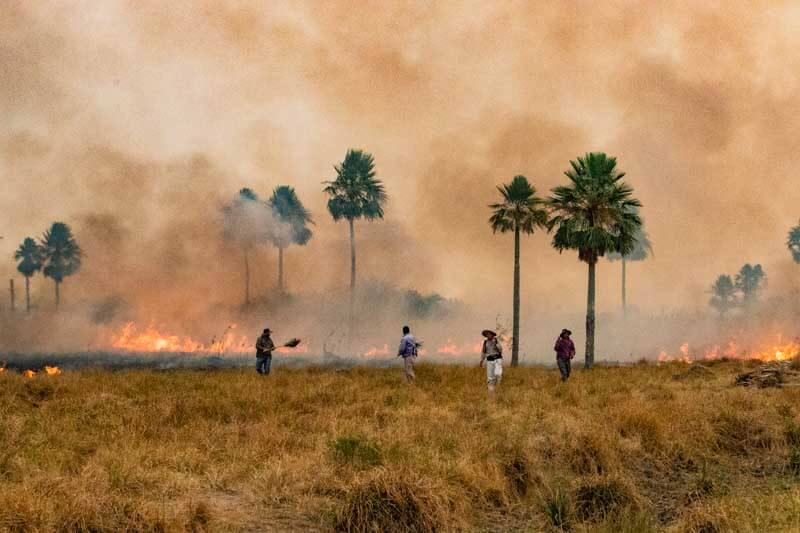 Además, el fuego acelera la erosión del suelo, lo que incrementa el escurrimiento del agua de lluvia y puede derivar en inundaciones repentinas. Las partículas de ceniza y otros contaminantes en la atmósfera alteran la formación de nubes, modificando la cantidad y distribución de las precipitaciones. A esto se suma la contaminación de ríos, lagos y embalses con metales pesados y sustancias tóxicas. (Información de National Geographic)