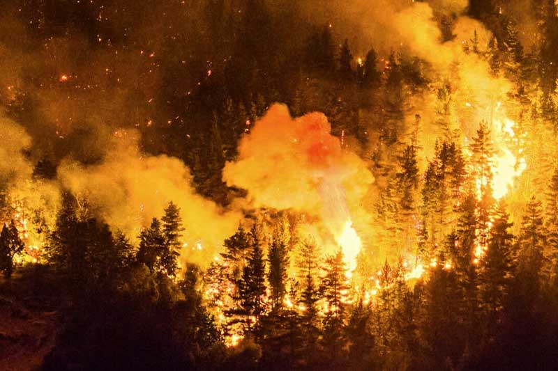 incendios forestales-incendios-chubut-patagonia