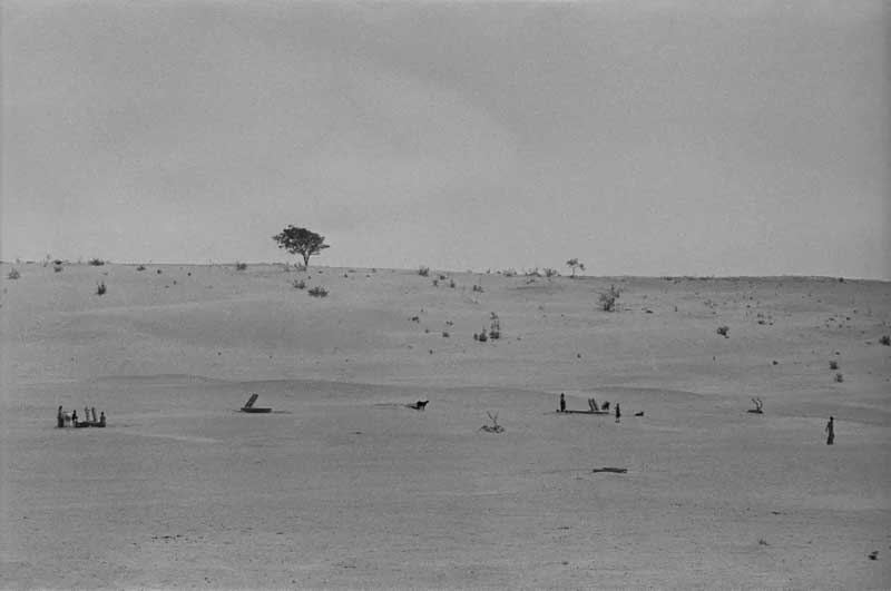 Gill, al recibir el premio, reflexionó sobre la dependencia inquebrantable de uno mismo, de los demás y de la naturaleza que caracteriza la vida de quienes luchan contra la pobreza y la escasez en el desierto. 