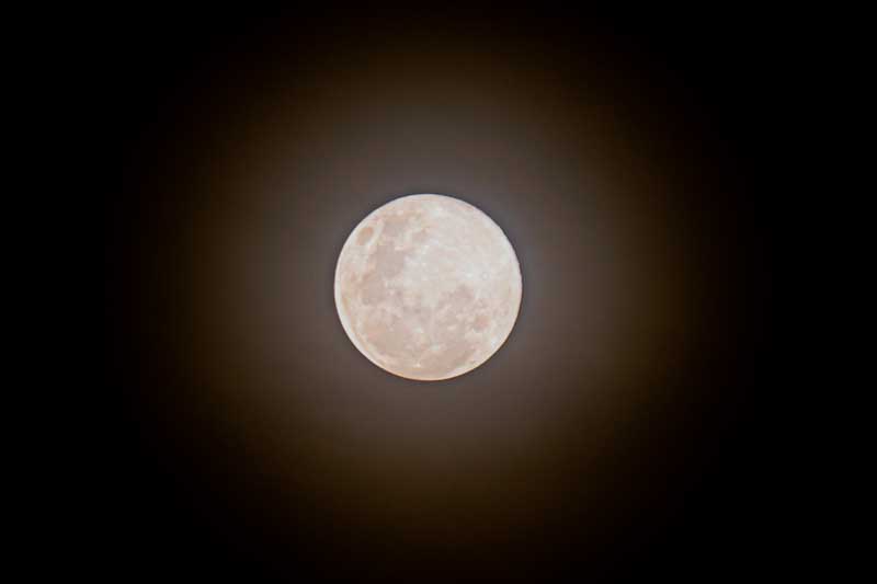 La observación del fenómeno en Argentina será limitada y de carácter parcial, dado que gran parte de su desarrollo coincidirá con las horas de luz solar. No obstante, el eclipse será visible de forma plena en el Océano Pacífico, América, el este de Asia y Australia. Este evento marca el comienzo de un mes que incluirá otros atractivos en el cielo, como diversas conjunciones planetarias y una mayor visibilidad del núcleo de la Vía Láctea.