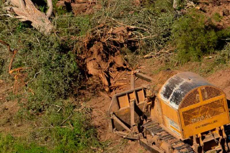 Para empeorar la situación, cuando el Presidente usó la motosierra y comenzó la automutilación del Gobierno, una de las primeras amputaciones fue la del Ministerio de Ambiente y Desarrollo Sustentable, sin el cual no se pueden controlar las leyes sobre ecología y biodiversidad. 