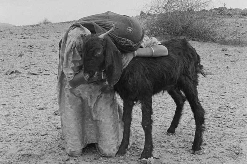 Sus fotografías se han convertido en un archivo invaluable que da voz a diversas narrativas y formas de expresión visual, destacando su compromiso continuo con las comunidades marginadas a lo largo de los años.