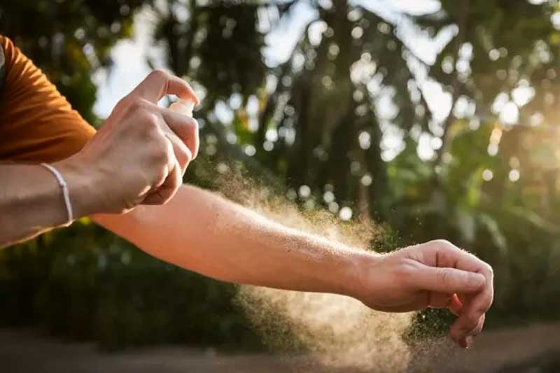 Informaron que el movimiento turístico, habitual en esta época del año, puede generar un aumento del riesgo de circulación viral. La persona que viaja a zonas donde hay registro de casos de dengue debe usar repelente y reforzar los cuidados. Vale recordar, que la enfermedad se transmite por la picadura de mosquitos Aedes aegypti, y que es una patología viral febril y aguda. 