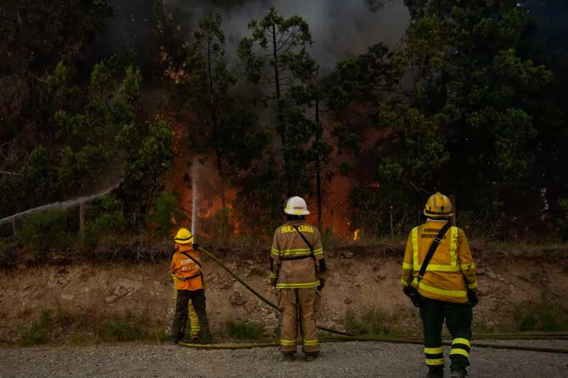 incendios forestales-patagonia-rio negro-el bolson-argentina-evacuados