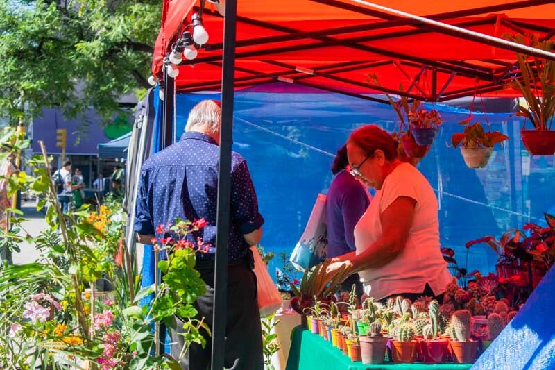 El recorrido continuará el 2 de enero en la plaza La Cruz, mientras que el 3 será un día de pausa para los feriantes. La actividad se retomará el sábado 4 con ferias en el parque Mitre y el paseo Arazaty. El domingo 5, además de productos gastronómicos, los vecinos podrán disfrutar de plantas ornamentales y artesanías, fomentando el consumo de artículos locales y celebrando las tradiciones de la ciudad.