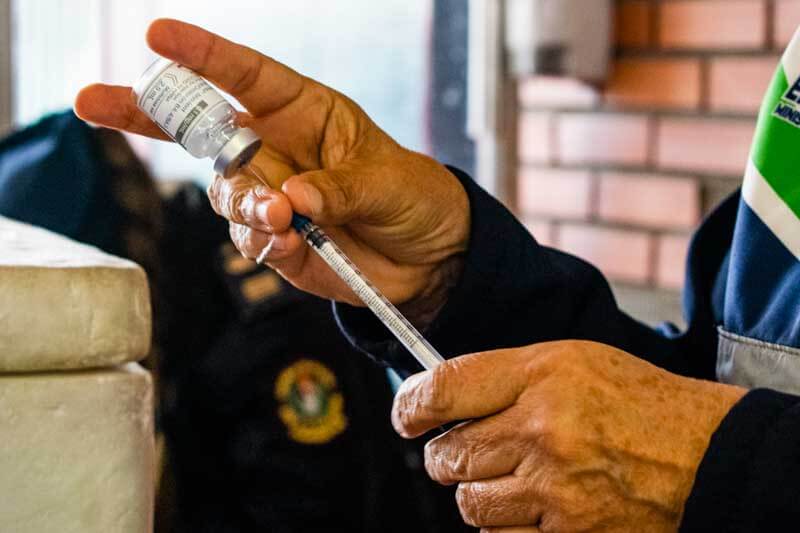 Primera provincia argentina en recibir la vacuna contra el dengue
