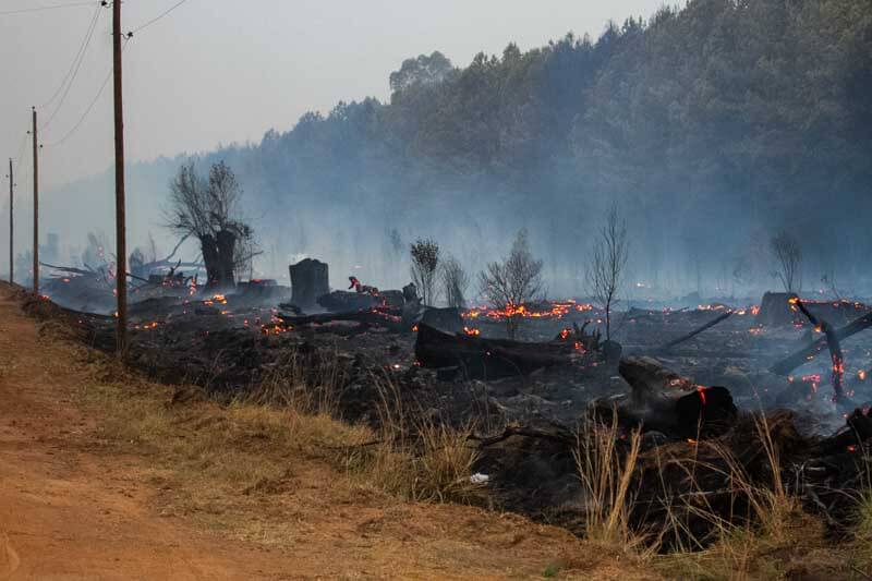 Ayer el Gobierno de la provincia de Corrientes reportó la aparición de 14 focos ígneos en un solo día, la mitad de los cuales fueron extinguidos (Itatí, Puente Tala -zona 20, Parada Coco, ruta provincial 126, Tata Cuá, Derqui y Empedrado -paraje El Pollo); mientras que el resto se mantenía activo (Alvear, Santo Tomé, Mariano I. Loza, Riachuelo, San Luis del Palmar, Curuzú Cuatiá -zona Vaca Cuá- y Perugorría. 