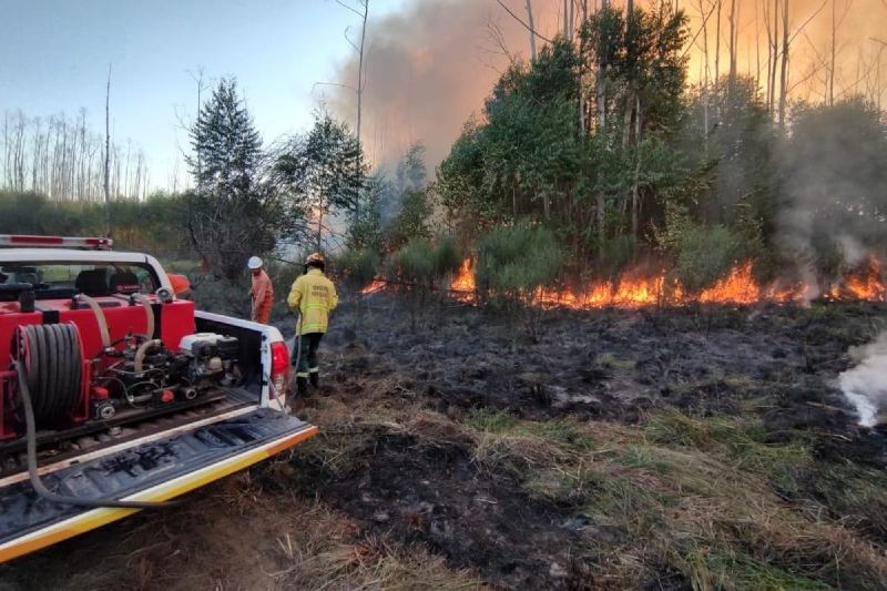 La falta de lluvia, la irresponsabilidad y el calor}