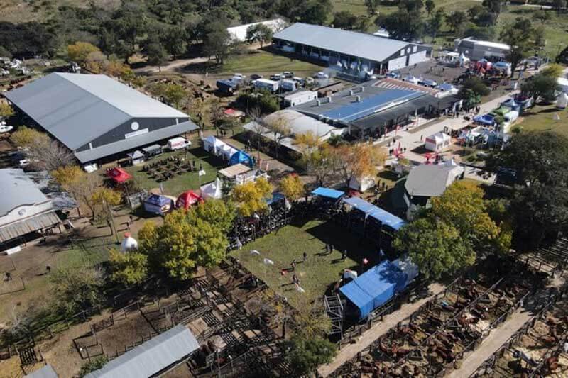 exposición-rural-Riachuelo-campo-ganaderia