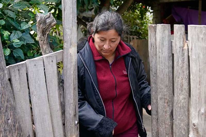Laudelina Peña (tía de Loan y última imputada) contrató a Mónica Chirivin, quien fuera abogada del doble parricida de Vicente López. La nueva legista en el caso informó a la prensa que su defendida no plantó el botín del nene, pero que la mujer no va a proteger más a su esposo, Antonio Benítez, dando a entender que él está implicado en un caso de trata de personas y pederastia.