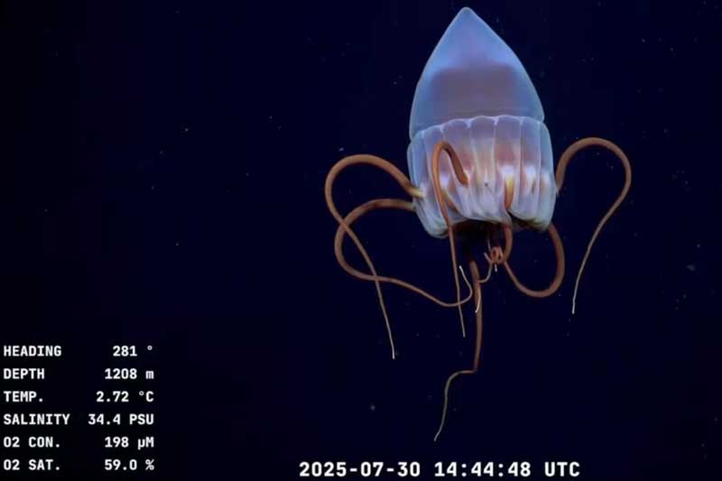 conicet-streaming-ciencia-argentina