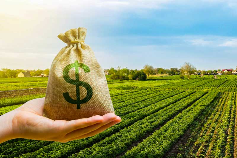 La medida fue comunicada en la misma jornada en que el Gobierno anunció un alivio para el agro: la eliminación de las retenciones a las exportaciones de granos y carnes hasta fines de octubre, con el objetivo de acelerar ventas externas y reforzar las reservas del Banco Central. El doble anuncio expuso las prioridades oficiales y volvió a poner en primer plano las tensiones políticas y económicas.