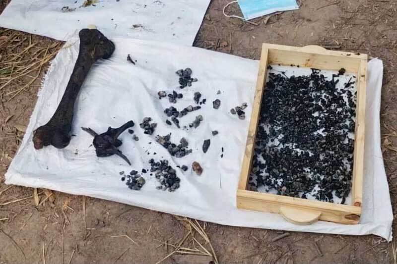 Entre los restos se encontró un dije carbonizado que la madre de Cecilia identificó como perteneciente a su hija. La incertidumbre sobre la identidad de los restos persiste, debido a la falta de material genético viable para realizar pruebas concluyentes. La investigación continúa en la búsqueda de más pistas que esclarezcan este trágico caso.