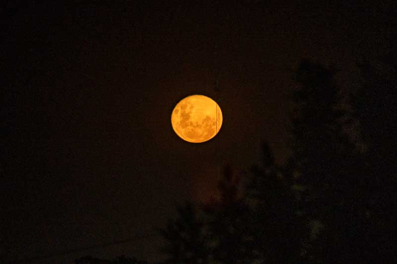 El evento astronómico comenzará a las 00:57 con una leve disminución del brillo lunar, hasta alcanzar su punto máximo cerca de las 04:00. Para apreciarlo mejor, los expertos recomiendan alejarse de la contaminación lumínica y esperar cielos despejados. Será la última oportunidad de ver un eclipse total hasta 2029, aunque en 2026 habrá uno parcial con un 93% de cobertura.