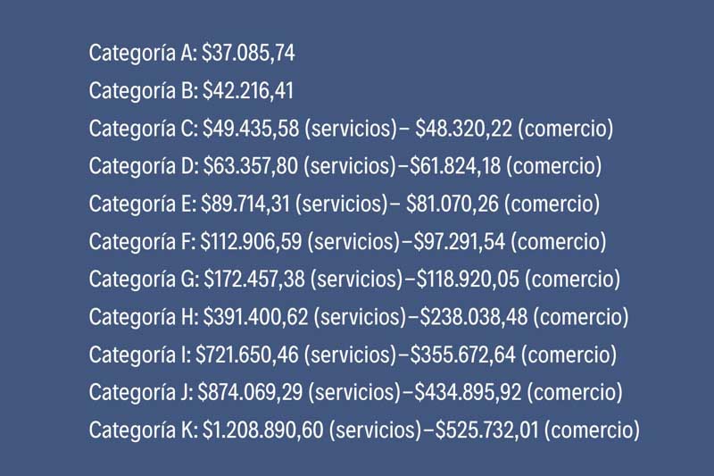 El organismo también actualizó las escalas del monotributo y los montos de las cuotas a pagar en diciembre, con límites anuales que van desde $8.992.597,87 (Categoría A) hasta $94.805.682,90 (Categoría K). Las obligaciones mensuales varían según la categoría y el tipo de actividad, con cuotas que parten de $37.085,74 y superan el millón de pesos en los niveles más altos. ARCA recordó que los pagos deben realizarse antes del vencimiento para evitar recargos y pueden gestionarse por canales digitales o en oficinas habilitadas.