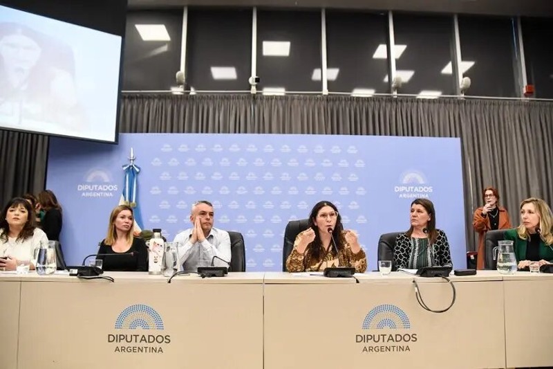 Cúneo Libarona compareció ayer ante la comisión de Mujeres y Diversidad de la Cámara de Diputados para explicar las decisiones del gobierno en relación con determinadas políticas, en particular tras el cierre del Ministerio de Mujeres, Género y Diversidad y la reciente reestructuración del organismo, pero emitió declaraciones que fueron consideradas “de suma gravedad institucional” y que “promueven la violencia y el odio”.