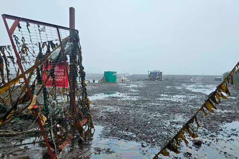 Colombia, mediante la UNGRD, anticipó corrientes fuertes y ordenó evacuaciones preventivas en playas y zonas de bajamar de Nariño y Chocó. Ecuador dispuso el desalojo de áreas bajas y la suspensión de actividades turísticas en Galápagos. En México, la Marina advirtió por corrientes intensas desde Baja California hasta Chiapas. Estados Unidos, Alaska, Japón y Nueva Zelanda también activaron avisos costeros. Si bien Kamchatka ya desactivó su alerta local, las autoridades de la cuenca del Pacífico mantienen medidas preventivas ante posibles variaciones del nivel del mar.
