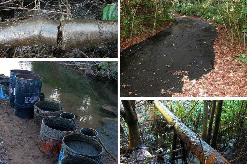 fallo judicial-petrolera-jujuy-medio ambiente-parque nacional