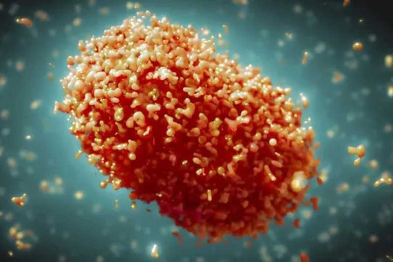 ¿Qué se sabe y por qué preocupa?}