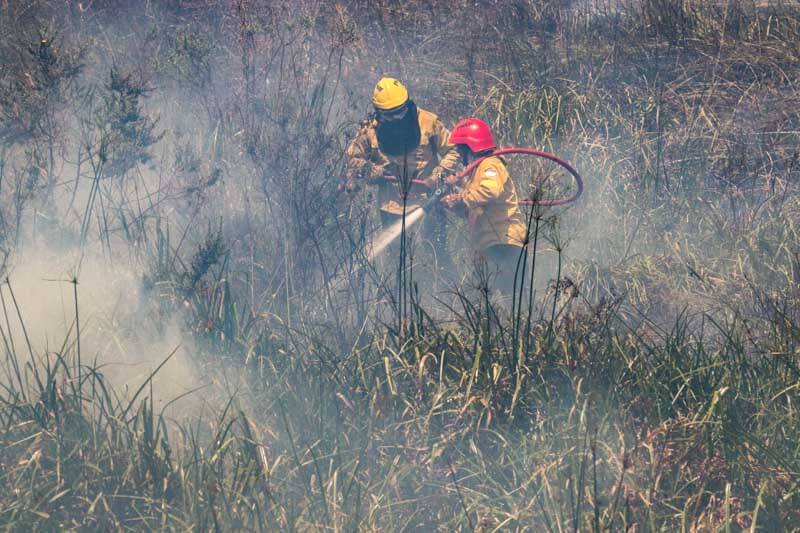 Ante el incremento del riesgo de incendios rurales y forestales en distintos puntos de la provincia, por otro lado, el Instituto Correntino del Agua y del Ambiente (ICAA) resaltó la importancia de extremar las medidas de prevención para proteger el ambiente, los recursos hídricos, la producción y la seguridad de las personas. En caso de ver fuego o humo, avisar de inmediato a los bomberos: 100, emergencias: 911, o la policía: 101.