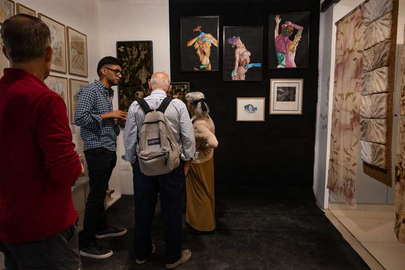 La propuesta reúne a 27 galerías, 36 artistas individuales y 23 colectivos artísticos de Corrientes, el NEA y países vecinos. 