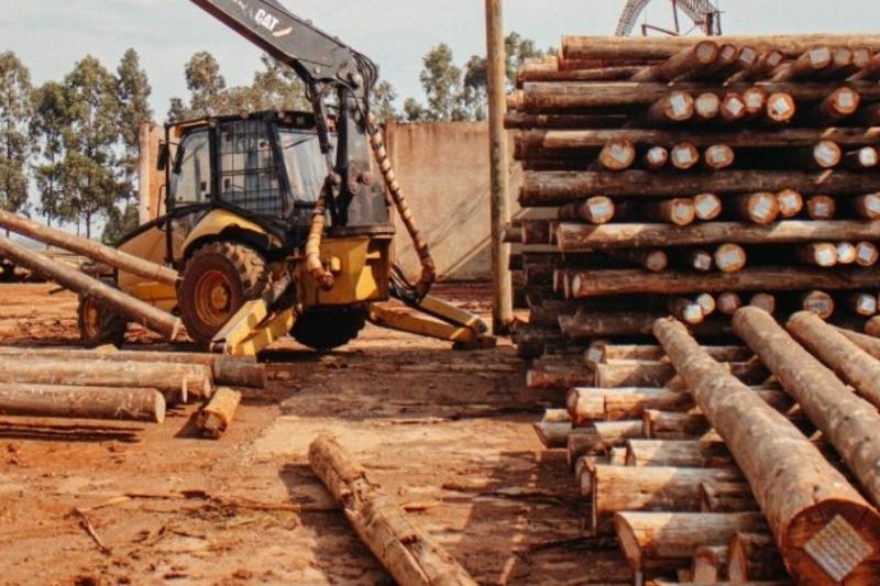 La provincia de Misiones, líder en el sector forestal, también reporta dificultades similares, aunque las características de su matriz productiva y sus políticas internas difieren. Asimismo, empresarios correntinos denunciaron que se intensifican las prácticas de informalidad, la evasión impositiva y la competencia con productos de bajo costo que no cumplen con las normativas laborales y fiscales.