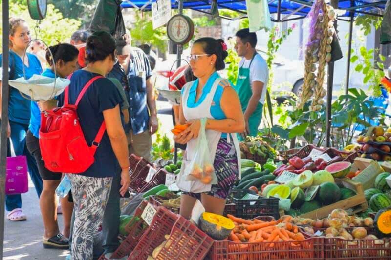 El primer día los feriantes estarán en la esquina de San Lorenzo y Bolívar (plaza Torrent) y por Brasil, frente a la escuela 6 (plazoleta Los Amigos) en el barrio Libertad. El miércoles 25 volverán a estar en la plaza Torrent del barrio Centro. El jueves 26 los puesteros se ubicarán en la plaza La Cruz, ubicada en la calle Salta.