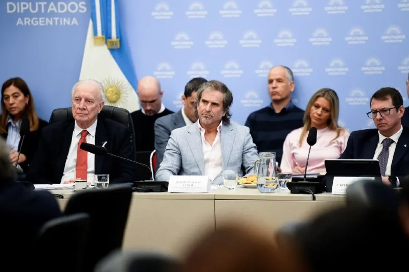 En el resultado se pudo ver que el MID acompañó el dictamen de Encuentro Federal, llegando a 6 firmas con el radicalismo opositor de Democracia para Siempre. Por su parte, Unión por la Patria tuvo el segundo dictamen con mayor cantidad de firmas: fueron 20, exclusivamente de su bloque. En su contenido pedían modificaciones concretas del proyecto del presidente libertario. El Frente de Izquierda presentó un dictamen de rechazo (una firma) y la Coalición Cívica no se posicionó.